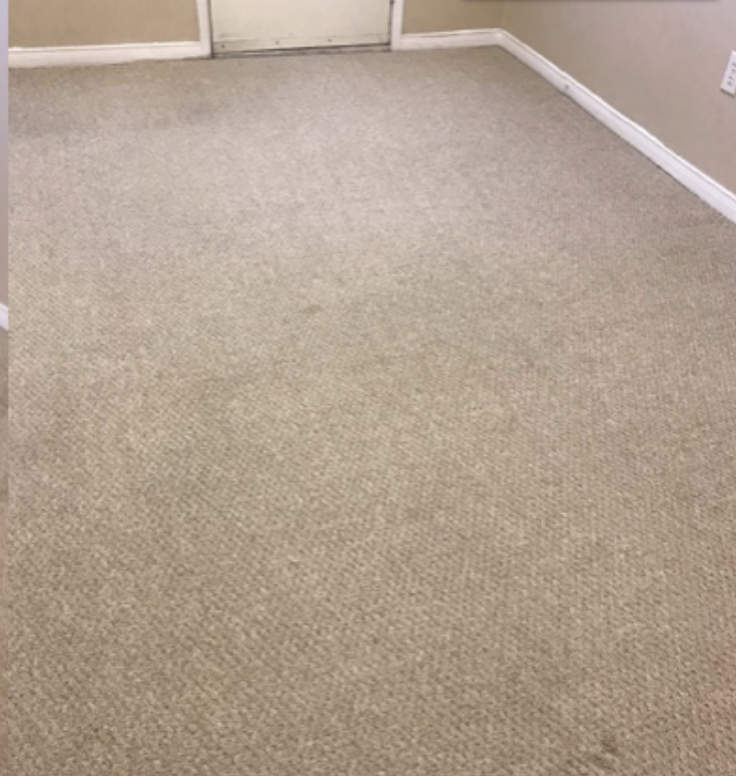 Deep Carpet Cleaning - Office Building - After
